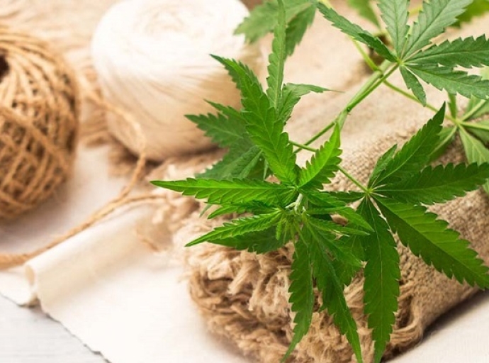Hemp Fiber: A Promising Solution for a Sustainable Future
